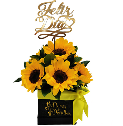 DE27 Box con 6 Girasoles